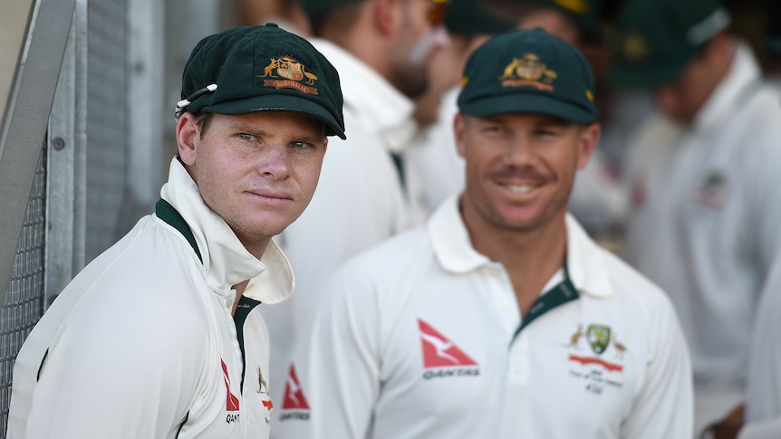 Steve Smith and David Warner at the cricket.