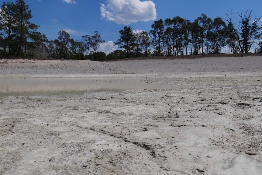 The dam on Nicolleti Orchards only has a tiny amount of water after yesterday's rain.