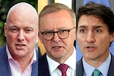 Headshots of Christopher Luxon, Anthony Albanese and Justin Trudeau