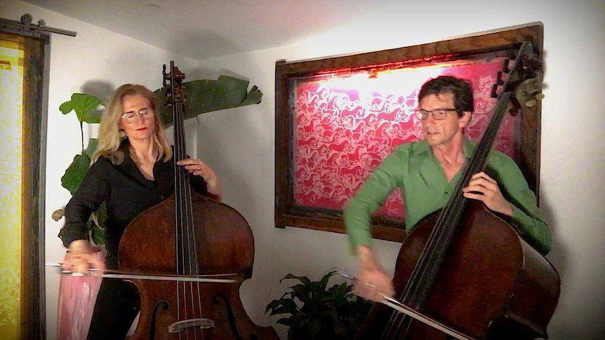 Two double bassists playing at home.