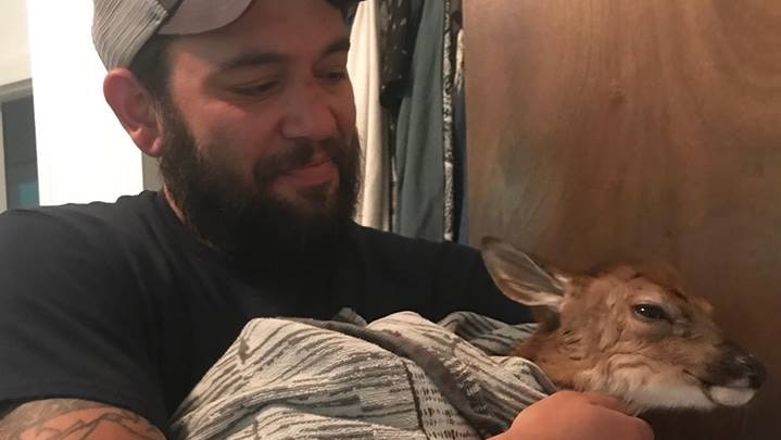 A tattooed man with a beard and trucker's cap cradles a fawn in a blanket