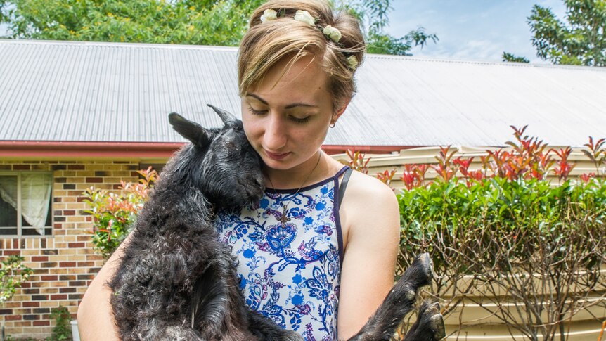Alex Cameron nurses one of the blind goats on the farm.