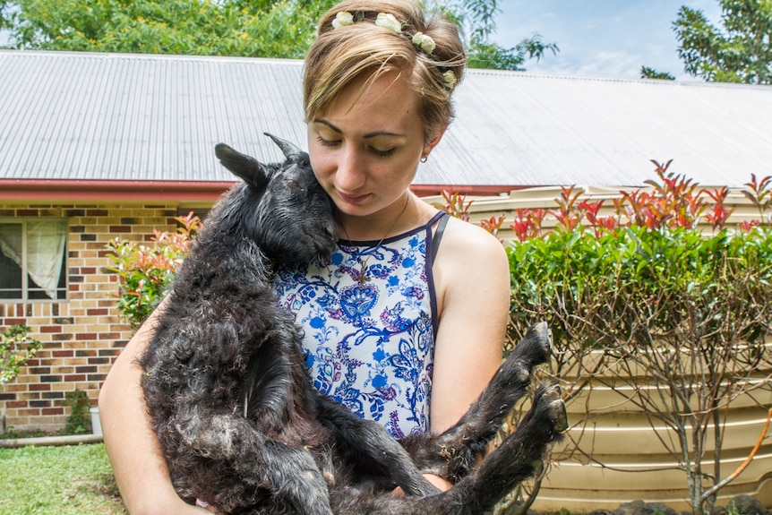 Alex Cameron nurses one of the blind goats on the farm.