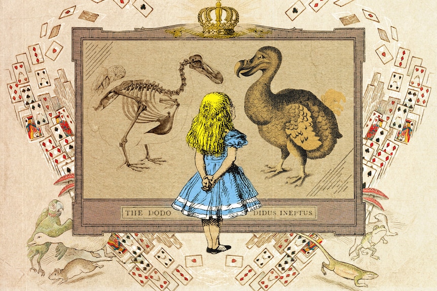 An illustration of a young blonde girl in a blue dress looking at pictures of dodos as playing cards fly around.
