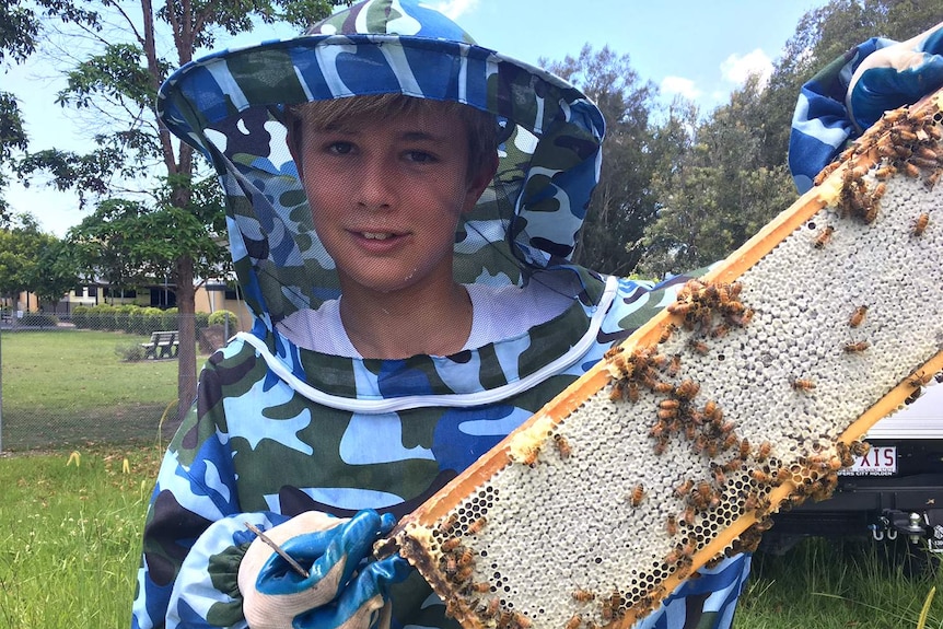 12-year-old beekeeper Tom Thomson dressed in protective clothing with bees on a hive on Queensland's Gold Coast.