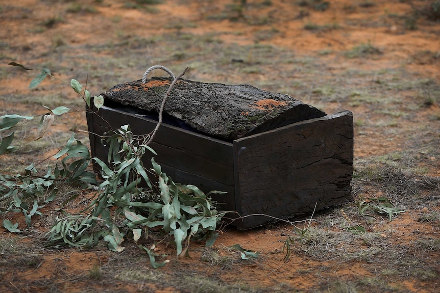 The 40,000 year old remains of Mungo Man