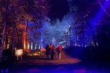 People walking through a lit up forest