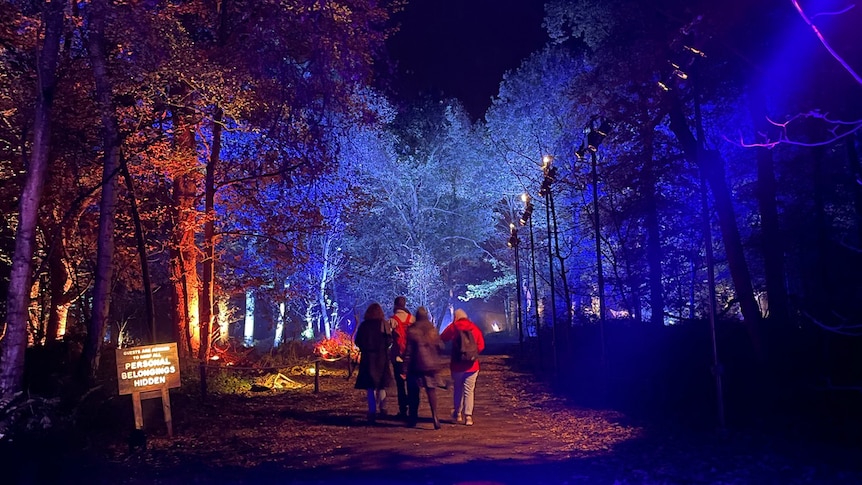 People walking through a lit up forest