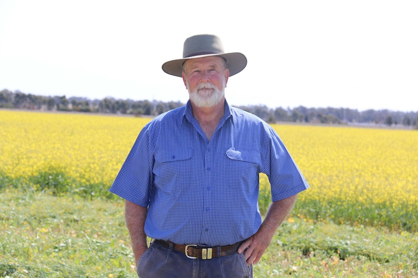 A man in a broad-brimmed hat and blue shirt stand with hands on hip in front of a yellow canola crop