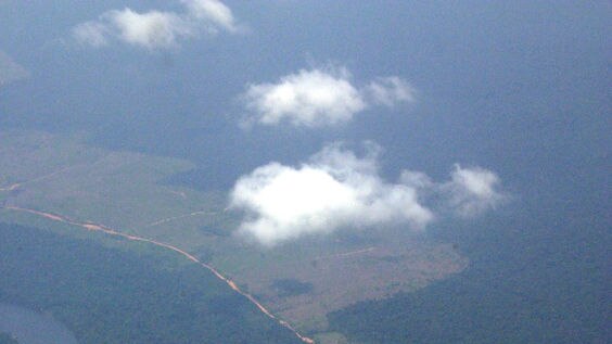 Aerial view of Amazon rainforest and River