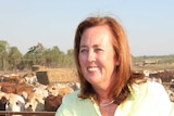 Tina MacFarlane in a cattle yard at Stylo station.