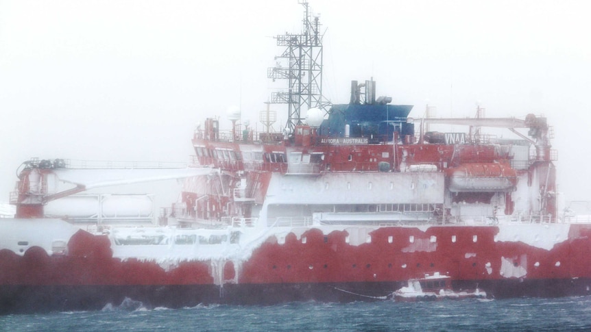 Aurora Australis grounded after a blizzard