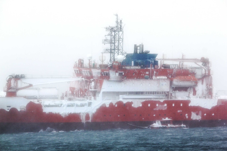 Aurora Australis grounded after a blizzard