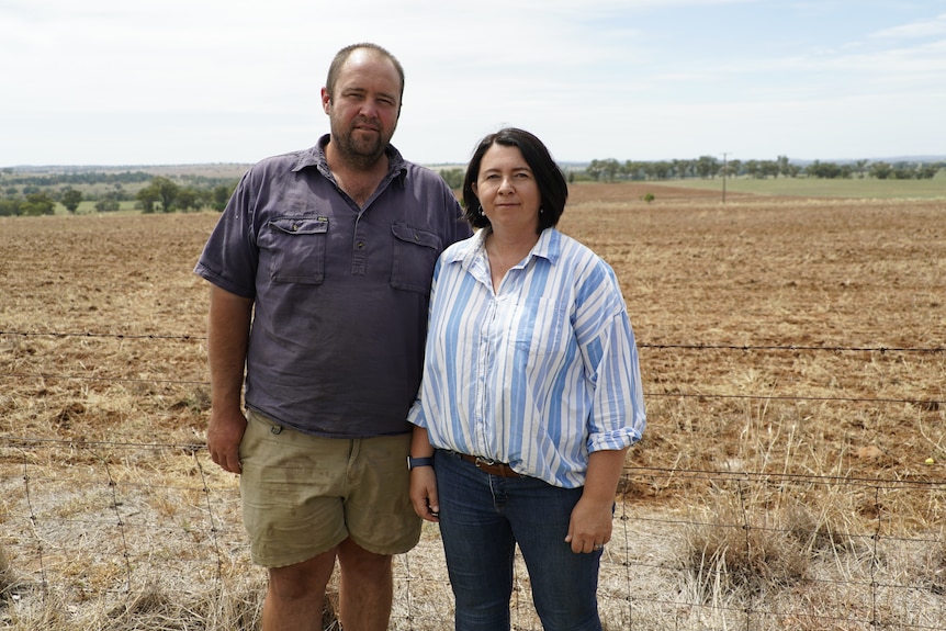 Man and woman standing in a paddock.