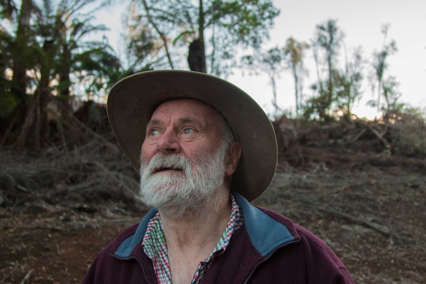 Derby resident Peter Coxhead looking into the distance with recently logged forest behind him.