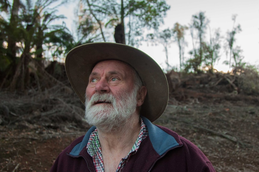 Derby resident Peter Coxhead looking into the distance with recently logged forest behind him