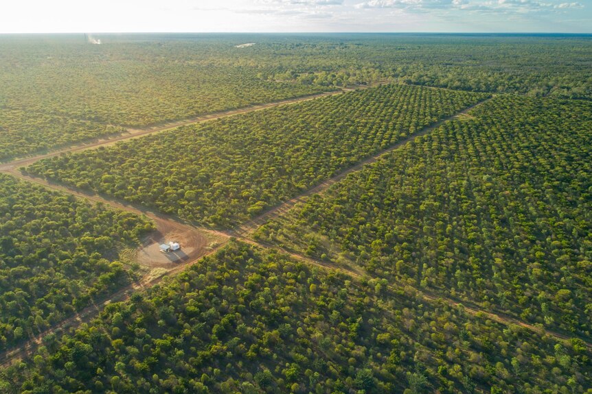 Aerial picture of Stylo Station in the outback