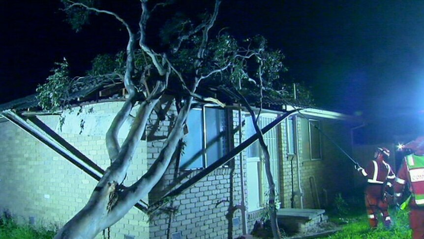 Tree hits house at Narre Warren