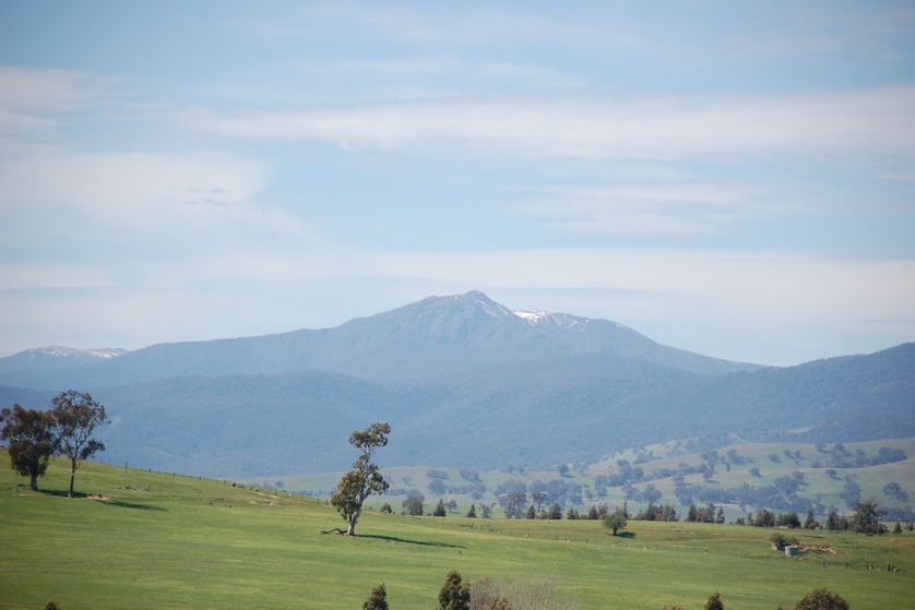 Landscape shot of Mt Buller opposite Mansfield Zoo