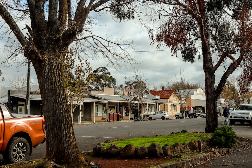 A side view of a quiet country street with a line of shops visible