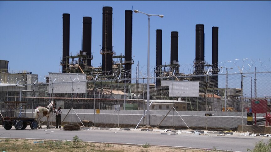 A man stands with a horse in front of a razor wire fence encasing a power plant