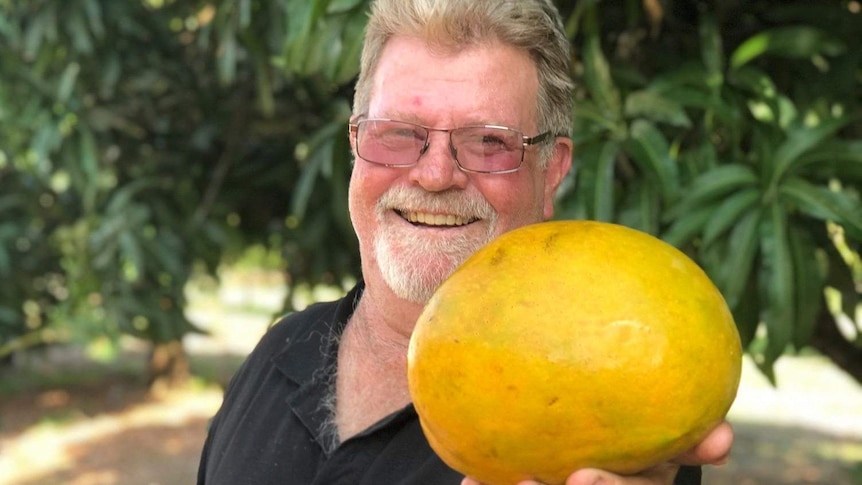 Mango grower Steve Jenkins holding a big mango