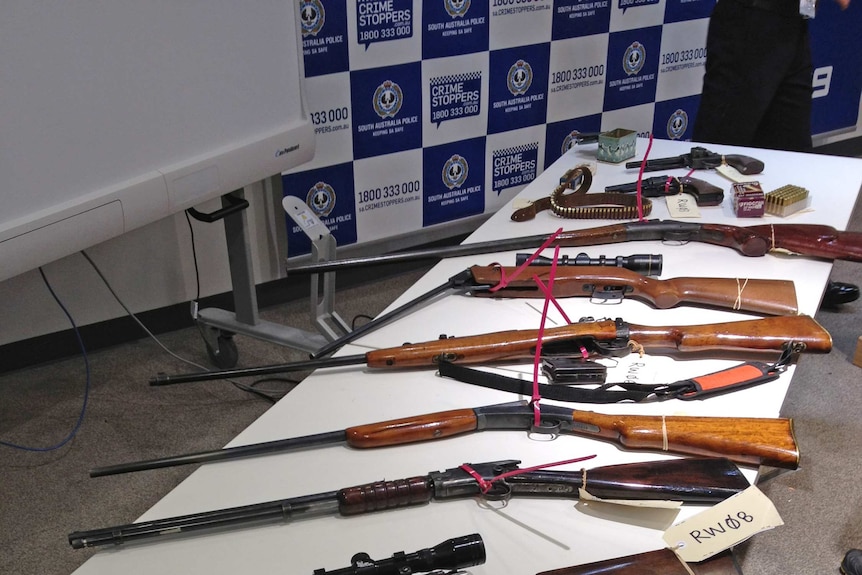 Nine weapons were seized by police