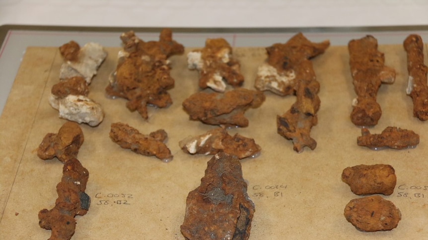 Rusty artefacts from Port Arthur dig
