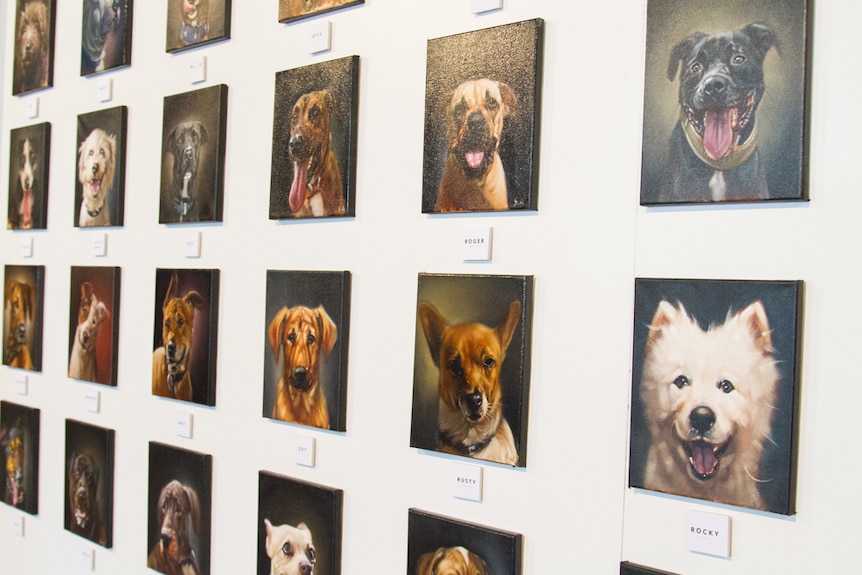 A wall of dog paintings.