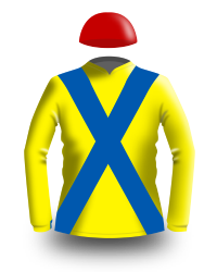 Yellow, blue and red jockey silks.