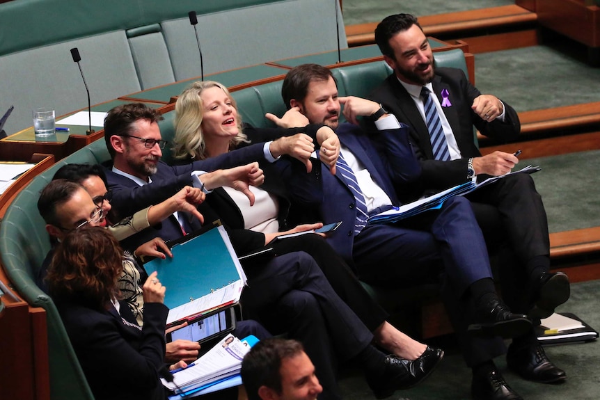 Labor MPs sitting on the benches of Parlaiment heckle the Opposition during Question Time.