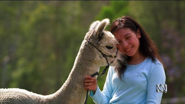 A girl stands next to an alpaca