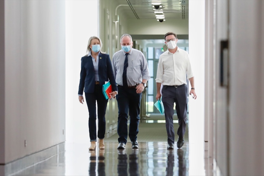 Bridget Mckenzie, Barnaby Joyce and David Littleproud walk down a hallway towards the camera.