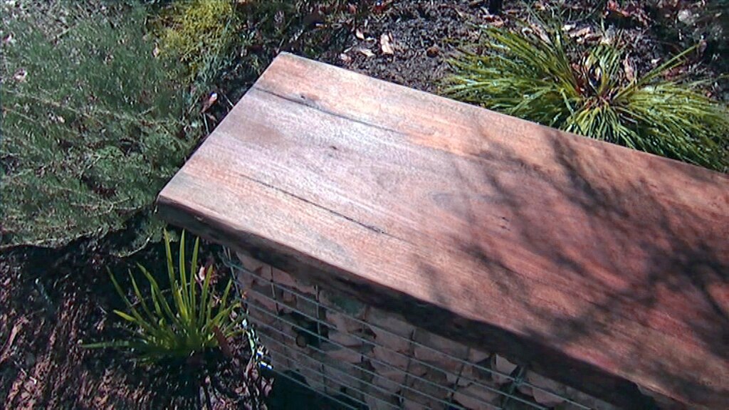 Timber-topped gabion seat among garden plants.