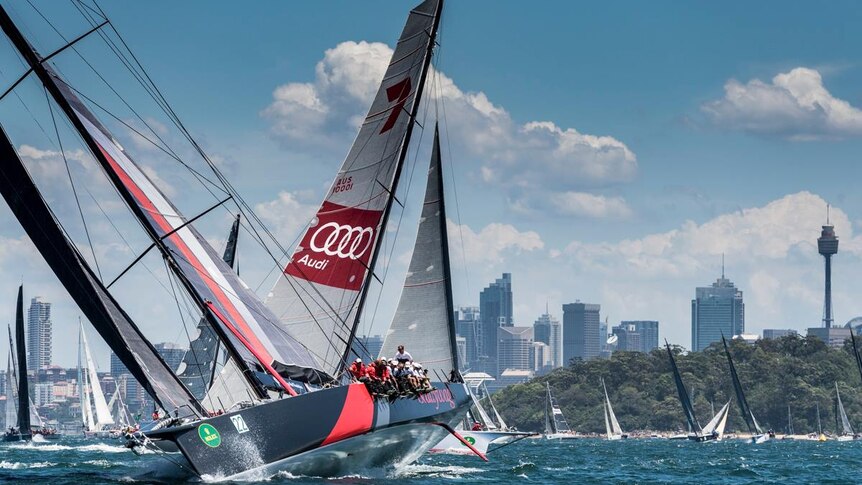 Perpetual LOYAL leads Wild Oats XI after the start of 2016 Sydney Hobart race.