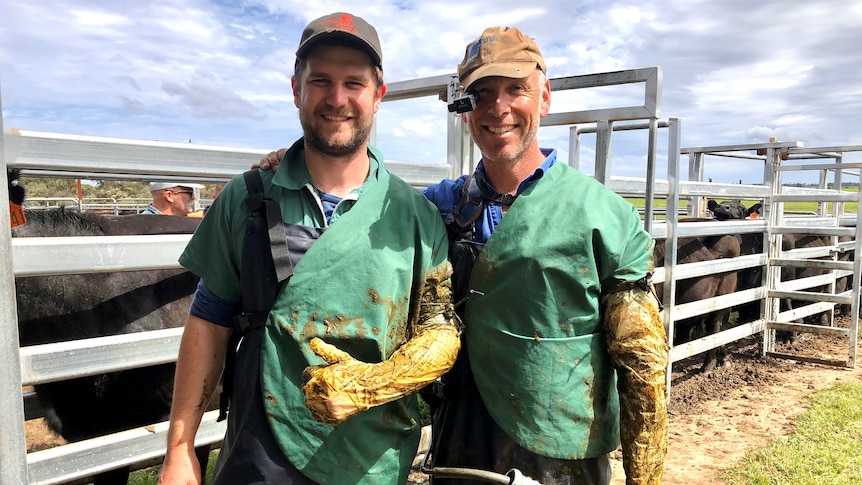 Two men in vet uniforms pose next to cattle yards