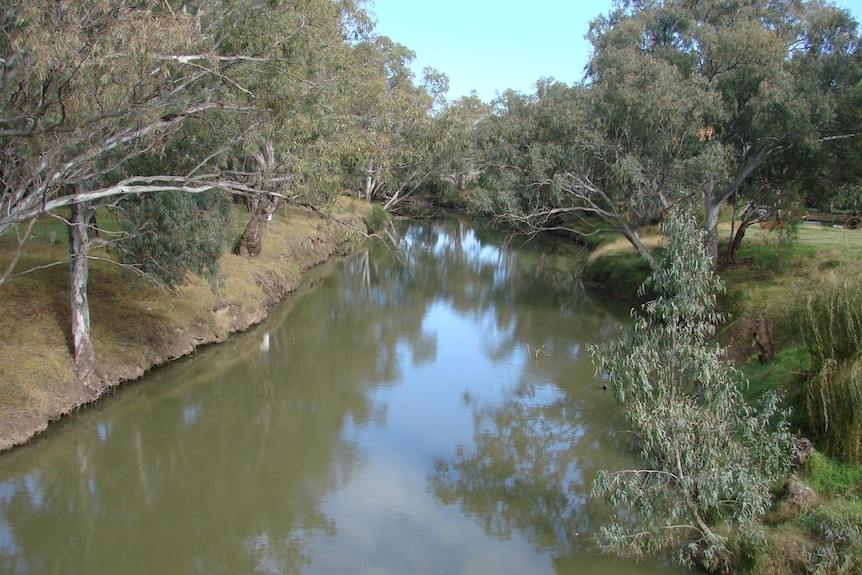 Lachlan River at Condobolin