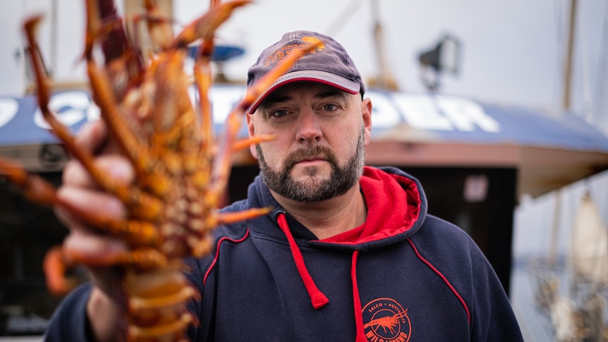 Close up shot of Michael Blake holding one of his southern rock lobsters. 