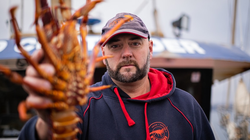 Close up shot of Michael Blake holding one of his southern rock lobsters.