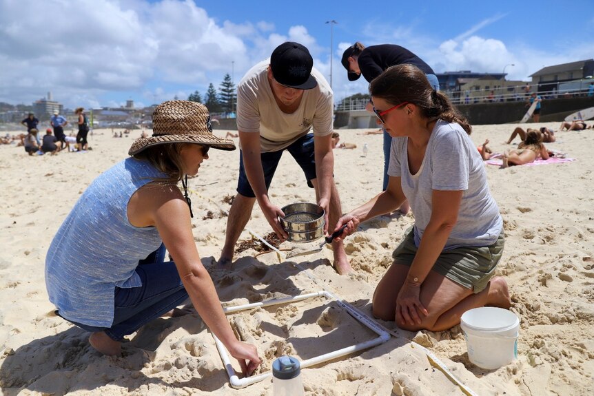 People on a beach hold a metal sieve over the sand.