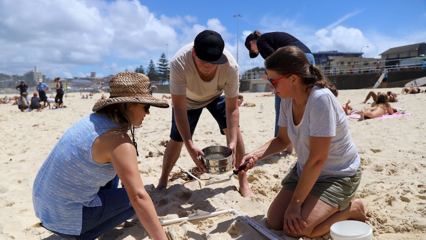 People on a beach hold a metal sieve over the sand.