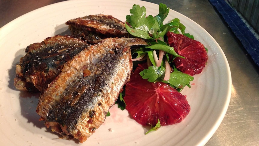 A white plate of fried stuffed fish fillets with a small salad of parsley, blood orange and onion.