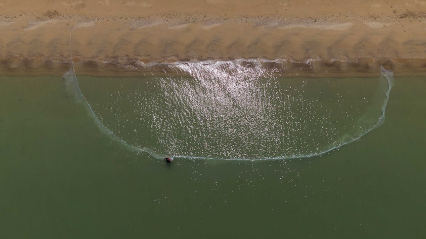 An aerial shot of a large net on a shoreline.