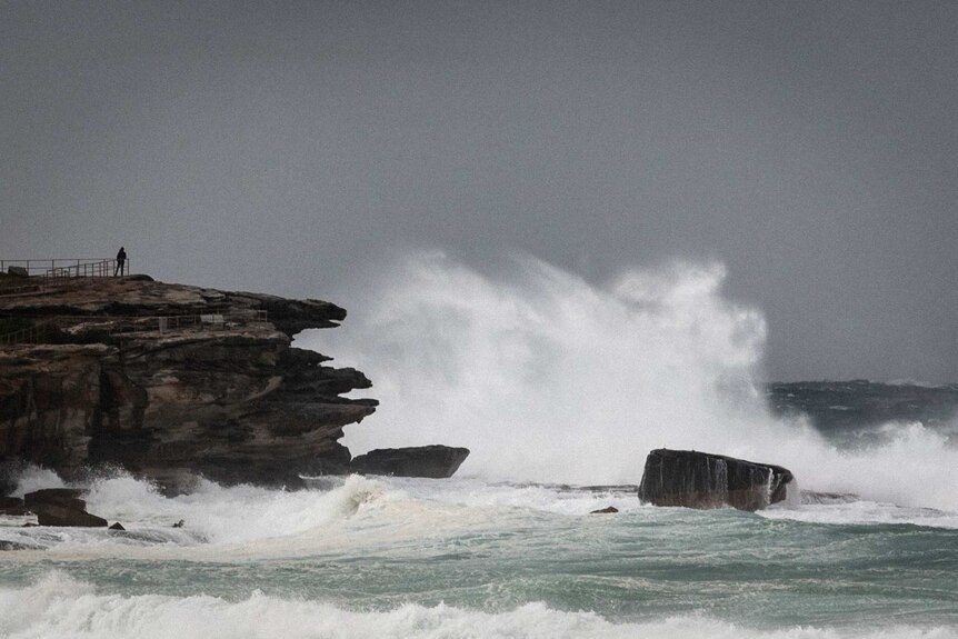 Wild surf hits Sydney coast