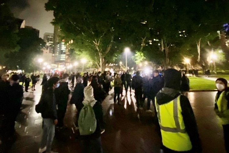 Protesters in a park