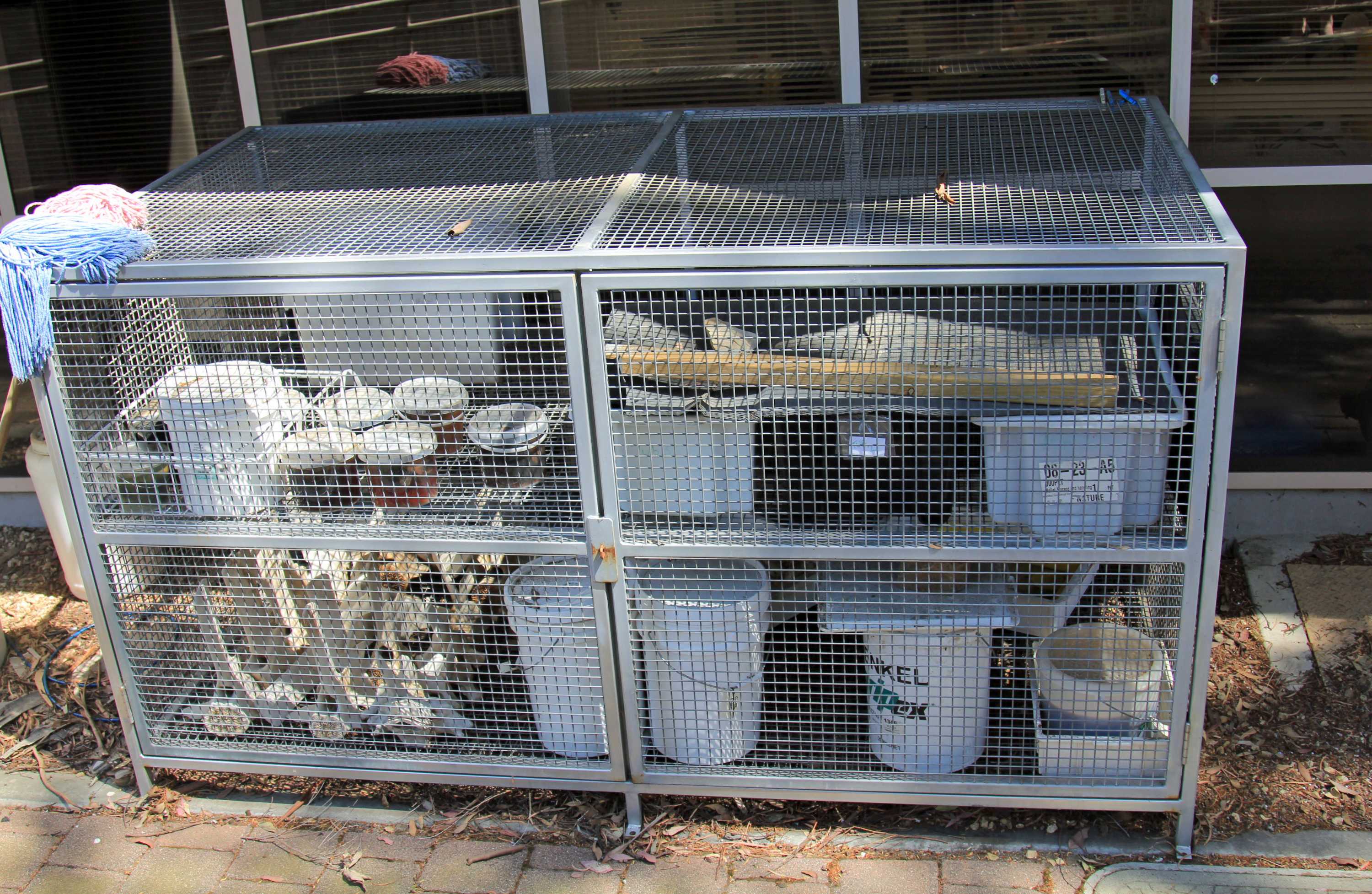 Dead penguins and devil poo all in a day's work for TMAG's vertebrate