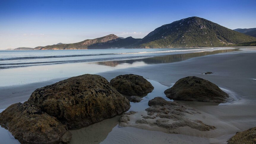 Late afternoon light settles over Oberon Bay near Victoria's Wilson's Promontory.
