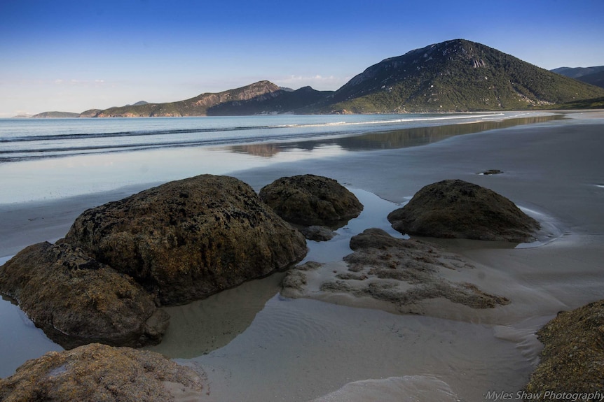 Late afternoon light settles over Oberon Bay near Victoria's Wilson's Promontory.