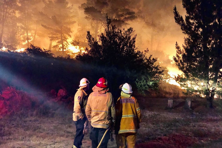 Firefighters look toward a fire blazing in the nearby trees at night.