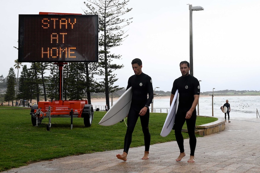 Surfers at a beach